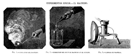 EXPERIMENTOS F�SICOS.- EL MAGNESIO