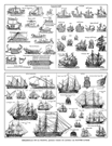 DESARROLLO DE LA MARINA