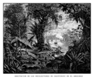 BELLAS ARTES.- HABITACI�N DE LOS RECOLECTORES DE CAOUTCHOUC EN EL AMAZONAS