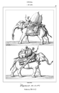 INDE.- EL�PHANTS  (MANUSCRIT S. B. Rale