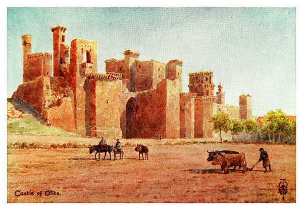 OLITE.- EL CASTILLO