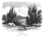 ESMIRNA