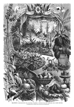 MADRID.- EXPOSICI�N DE PLANTAS, FLORES Y FRUTAS EN LOS JARDINES DEL BUEN RETIRO