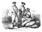 TIPOS DE VOLUNTARIOS DE LA HABANA