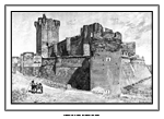 CASTILLO DE LA MOTA, EN MEDINA DEL CAMPO