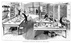 EE. UU. DE AM�RICA.- ENSAYOS SOBRE DIVISIBILIDAD  DE LA CORRIENTE EL�CTRICA