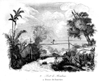 CEIL�N.- PUENTE DE CA�AS DE BAMB�