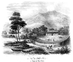 TASMANIA.- VISTA DE NEW-TOWN