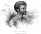 NUEVA CALEDONIA (ISLAS DEL PAC�FICO).- RETRATO DE UN HOMBRE DE ESTA ZONA