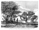 VALENCIA.- CAMPAMENTO DE LA 