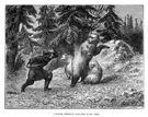 CAZADOR SIBERIANO ATACANDO A LOS OSOS