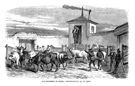 MADRID.- CASA-MATADERO : RECONOCIMIENTO DE LAS RESES